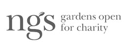 logo-ngs